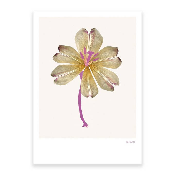 Flowercollage 01-Postcard for wholesale by Rijkvol