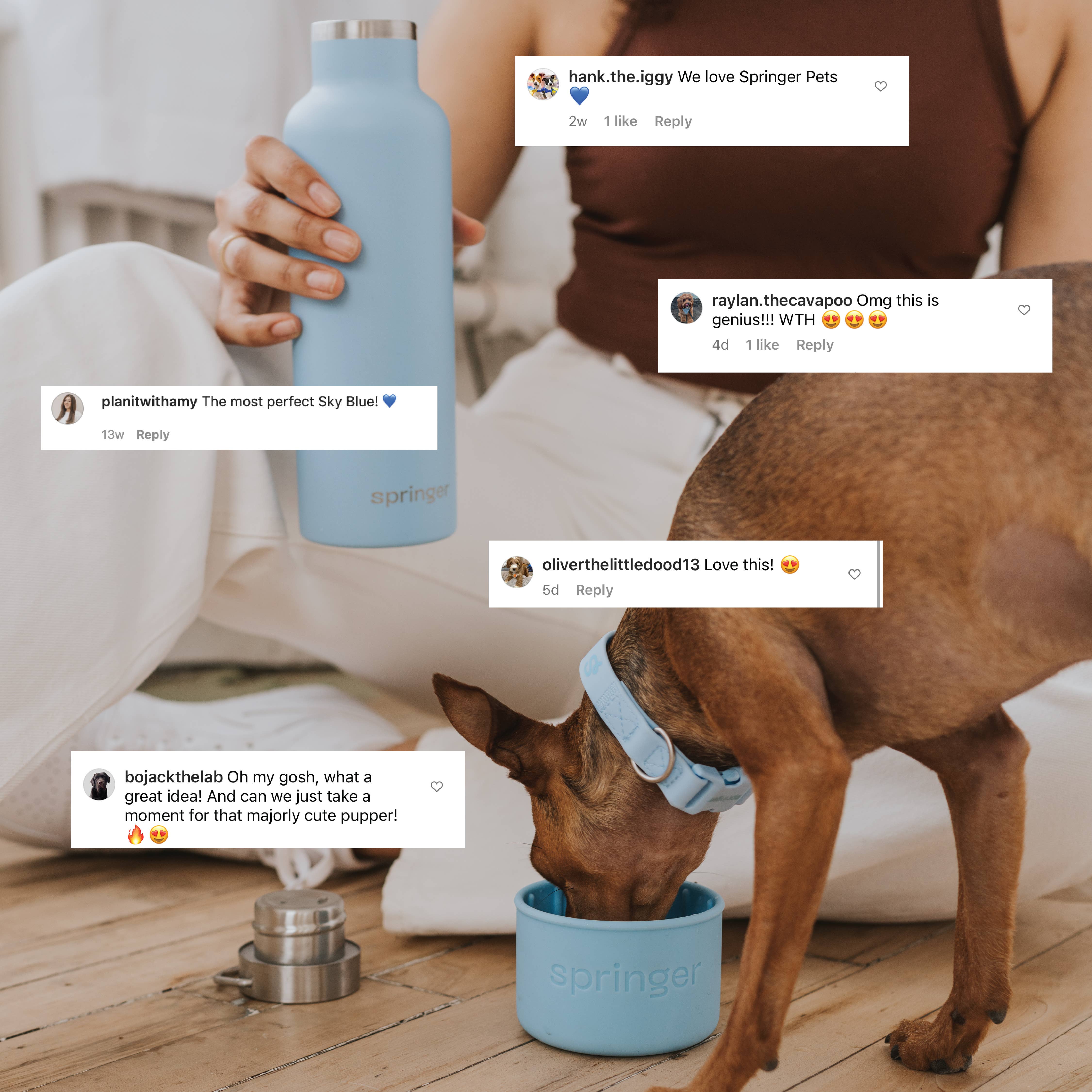 Springland Pets - Wholesale Sporting Accessories - Dog & Me 24oz Insulated Water Bottle (6 Pack)7