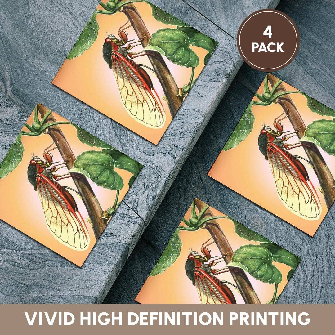 3dRose - Wholesale Coasters - 3dRose, Cicada - cicada, cicadas, magicicada septendecim, insect, insects, bugs, winged insects, Coaster5