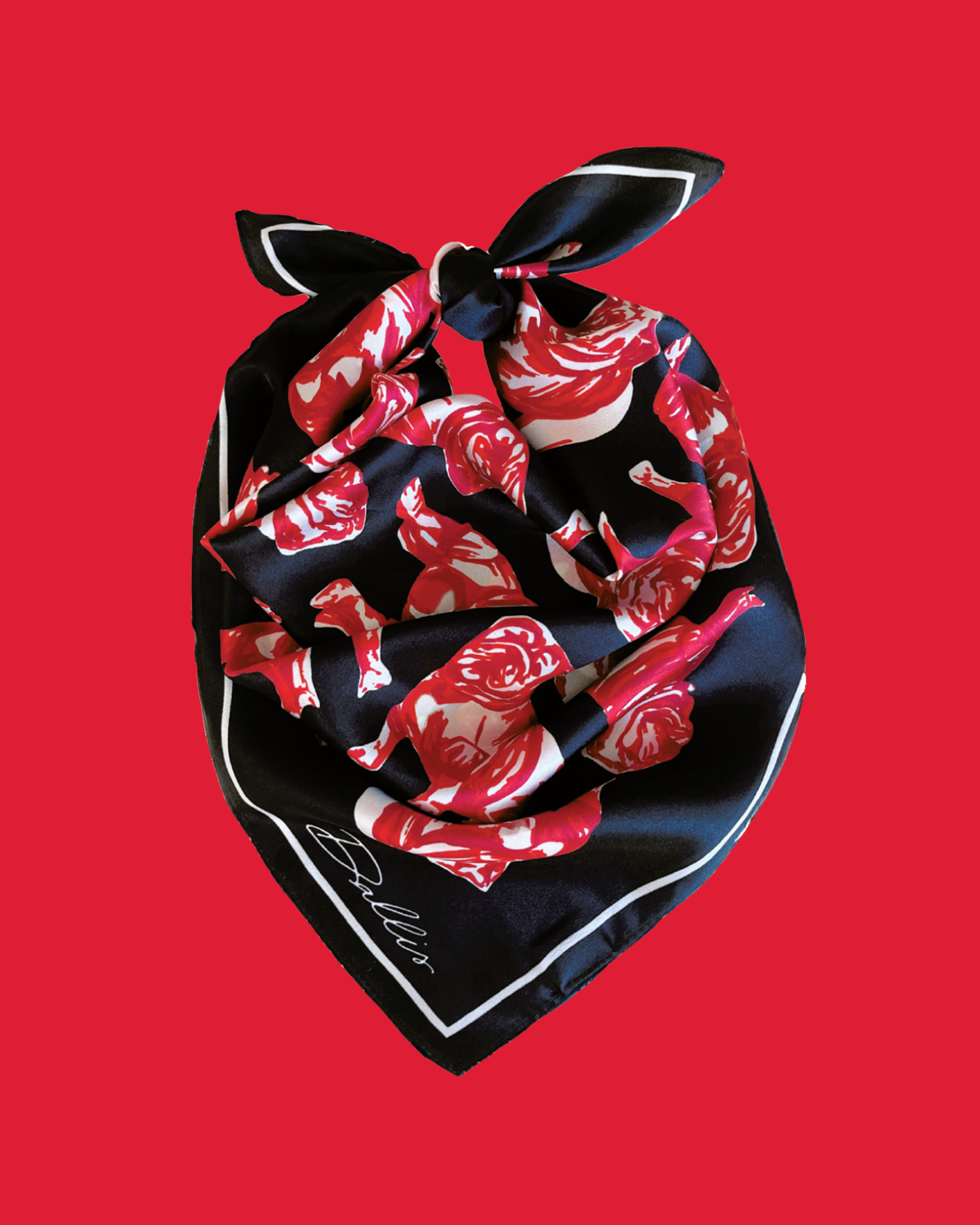 Dallis Foshee Art & Design, LLC - Wholesale Scarf - Women's - Sic 'Em Gameday Scarf | Black1