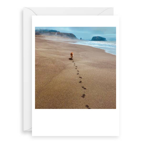 Palm Press - Wholesale Sympathy Card - Dog Beach Pawprints Sympathy Card