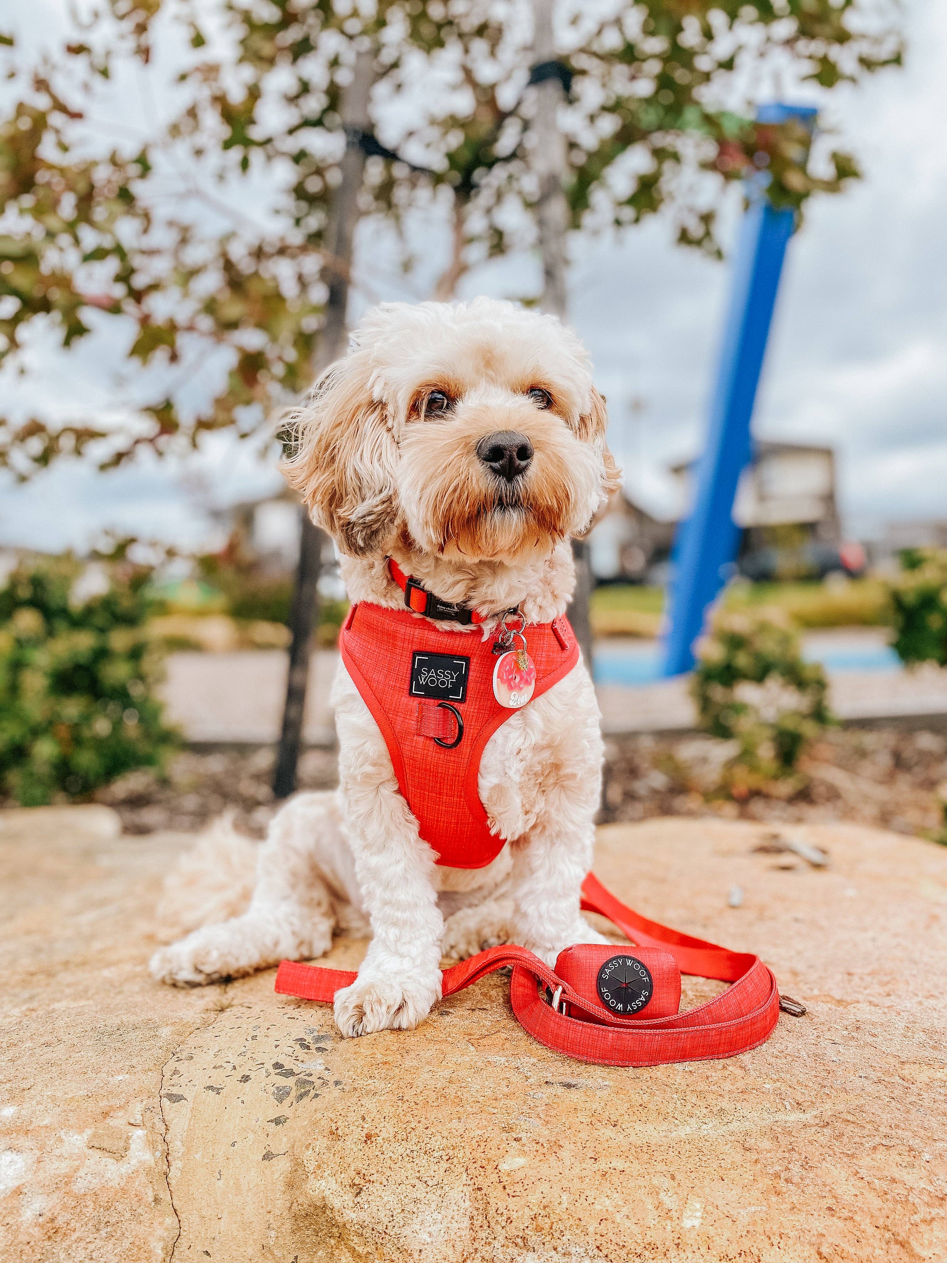 SASSY WOOF - Wholesale Pet Poop Bag Dispenser - Dog Waste Bag Holder - Merlot3