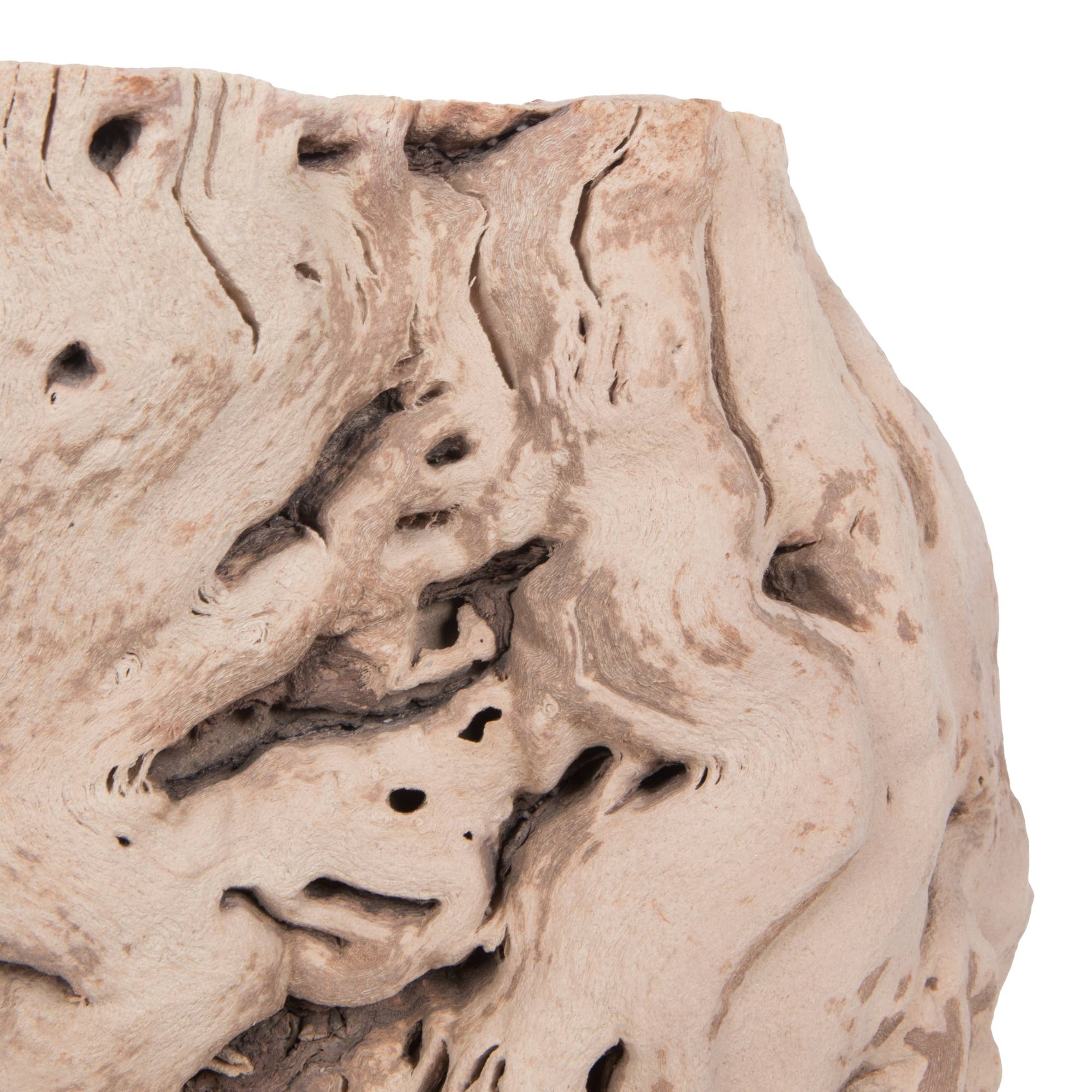 Tan Vickerman 12-14" Grapewood Urns Sand Blasted, Dried for wholesale on Faire3