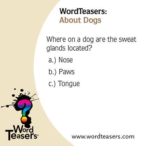 WordTeasers - Wholesale Card Game - About Dogs9