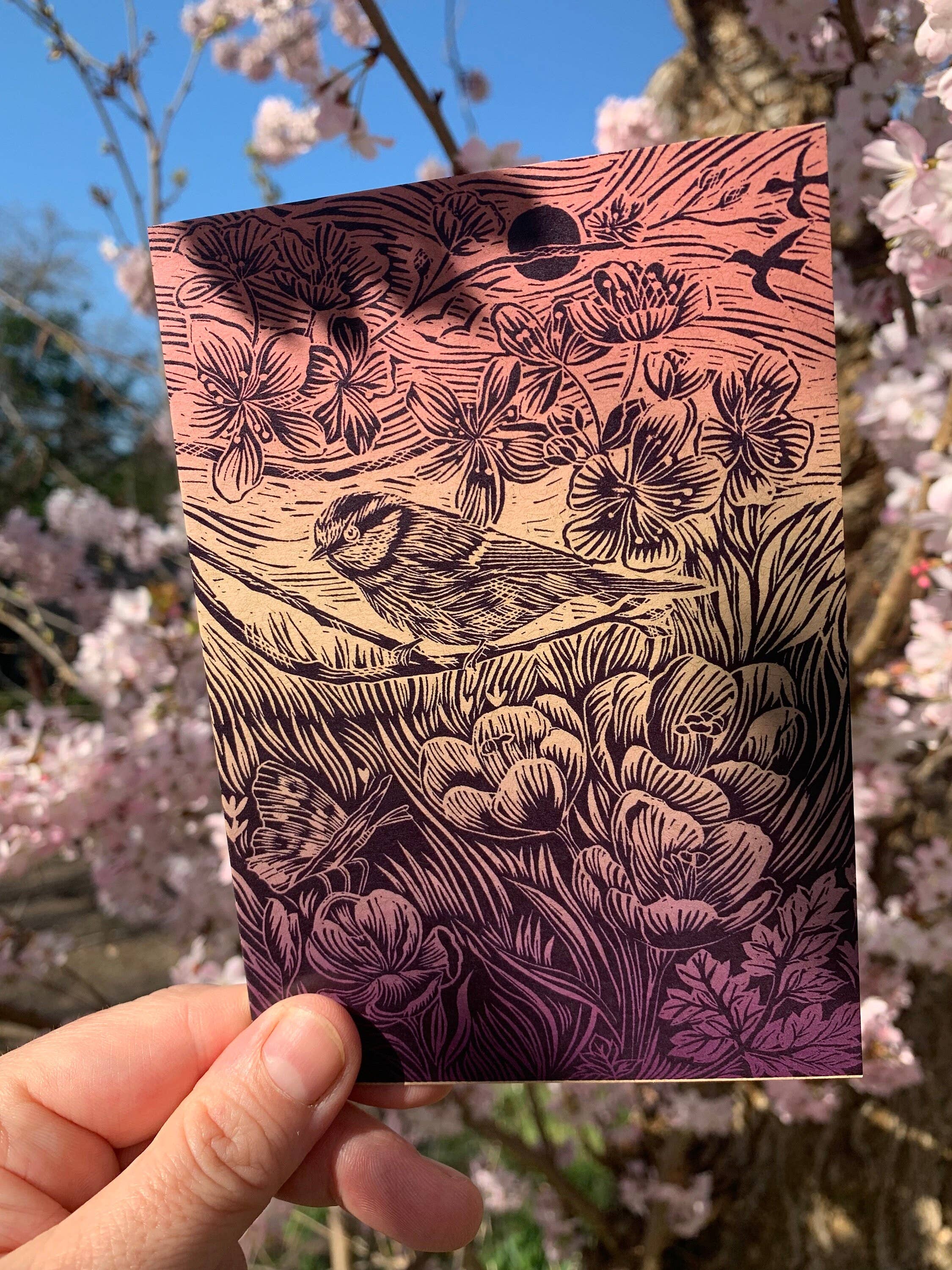 Vivienne Keable – Engroshandel Fødselsdagskort – Linocut Print - Bluetit - Lykønskningskort - Bird - Fødselsdag Ca5