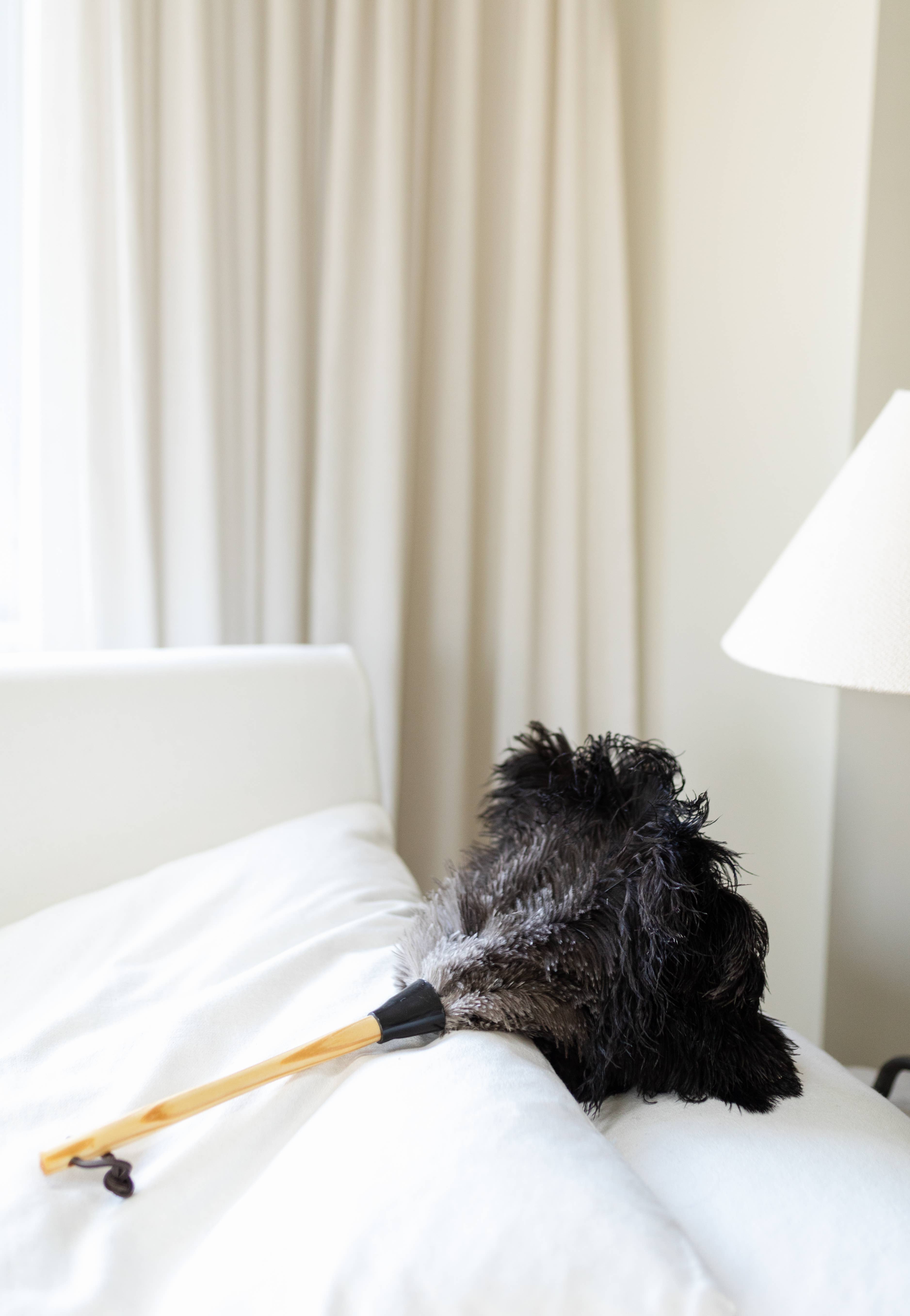 Millstream Home - Wholesale Dusting Brush & Duster - The Feather Duster0