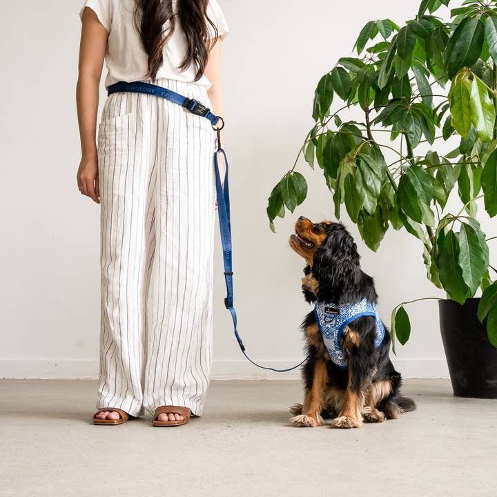 LAISSE MAINS LIBRES POUR CHIEN EN VINYLE, DEUX PIÈCES, MULTIVOIES, BLEU MARINE pour la vente par Cavology