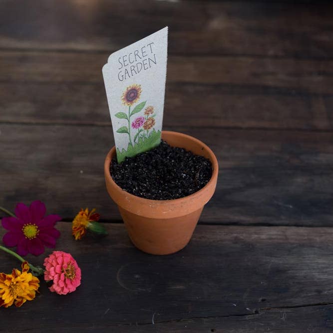 Sow 'n Sow - Wholesale Plant seeds - Secret Garden Gift of Seeds (Australia Only)6
