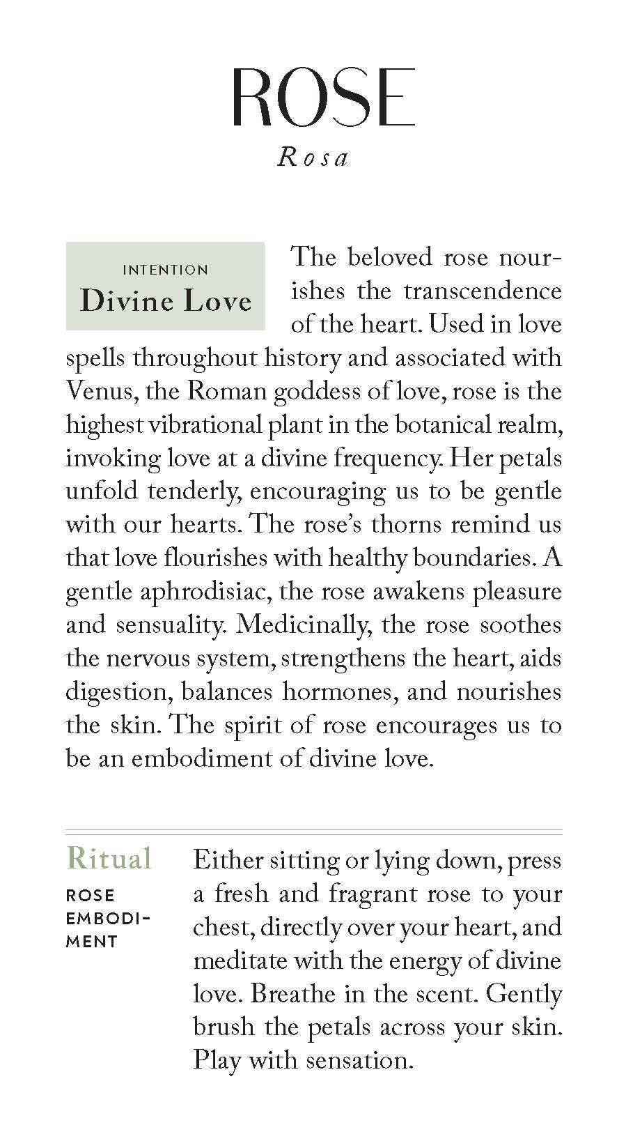 Chronicle Books - Wholesale Tarot Cards - Botanicals Deck5