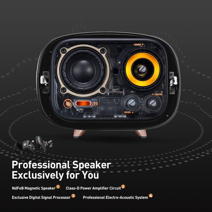 MUZEN Knight Black Portable FM Radio & Bluetooth Speaker for wholesale on Faire