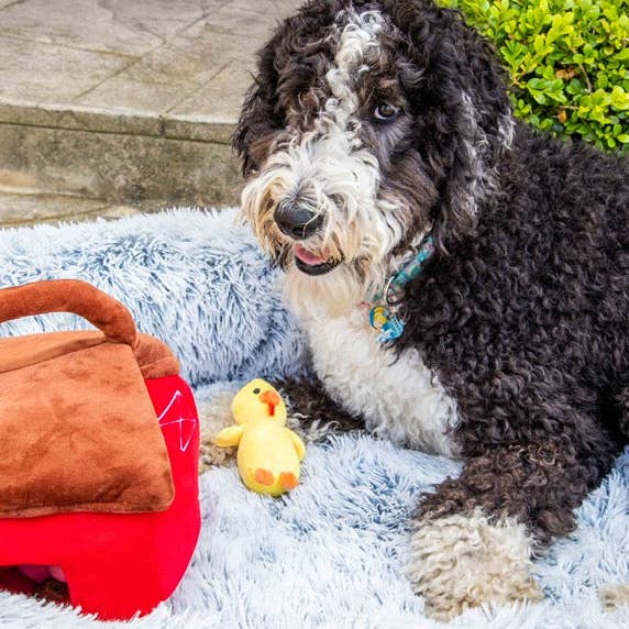 Glow Pups – wholesale Pet bed – Dog – Calming Faux Fur Dog Bed with Memory Foam Bolster9