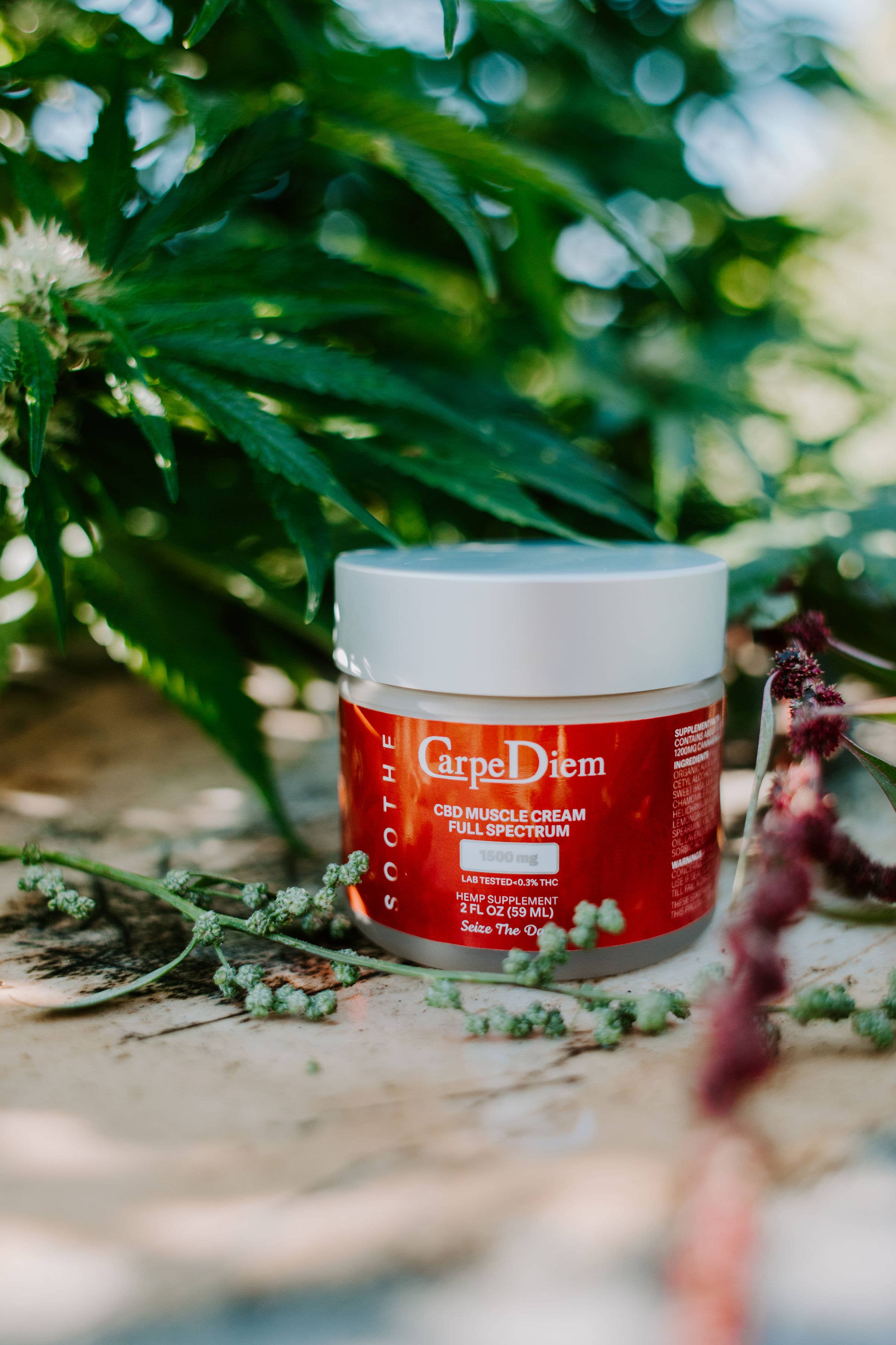Carpe Diem CBD - Wholesale CBD Cream/Lotion - Soothe Muscle & Joint CBD Cream- 1500mg Full Spectrum in 2oz1
