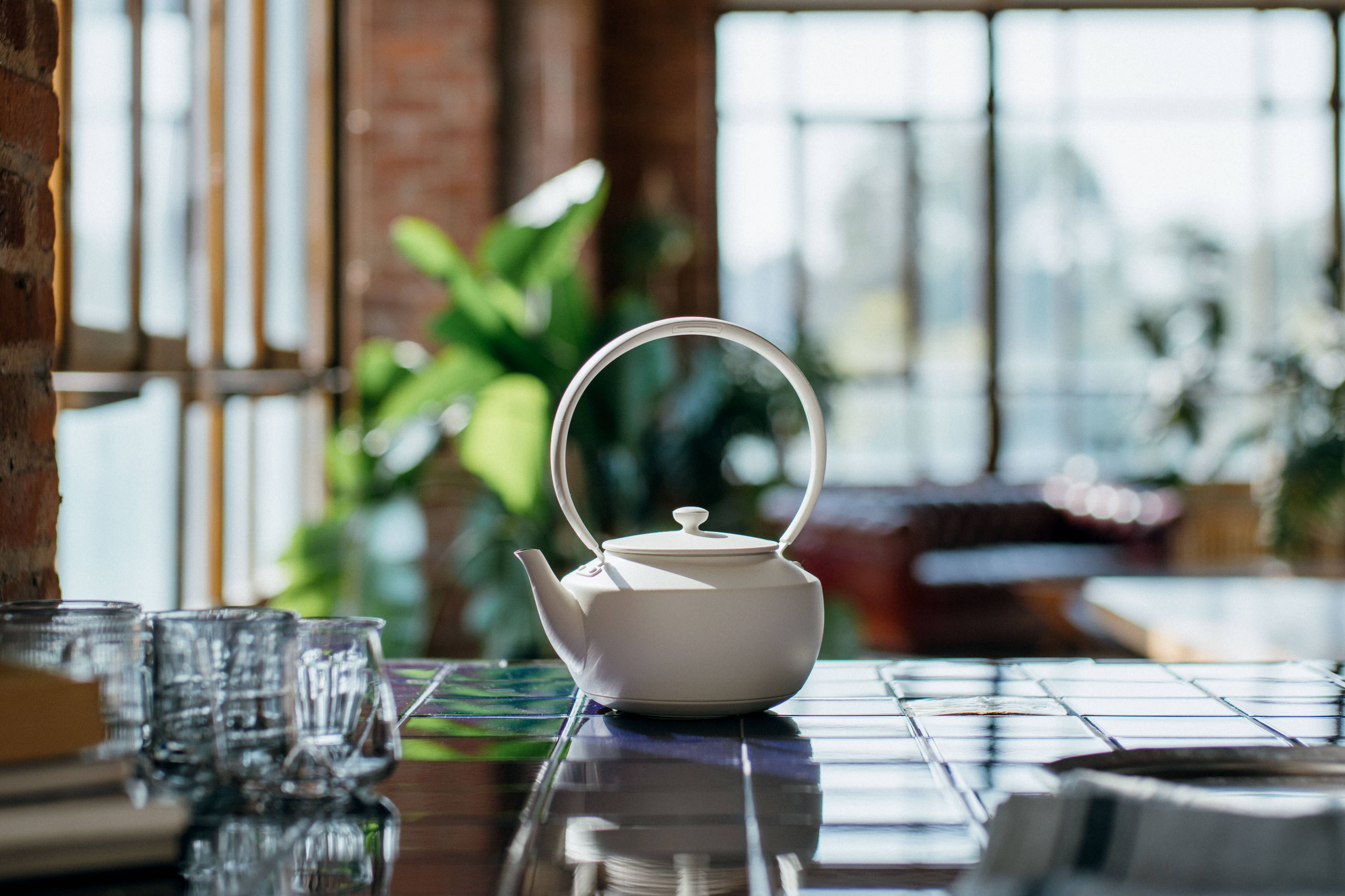 BALMUDA - Wholesale Electric Kettle - MoonKettle Electric Kettle with Temp Control 122°F - 212°F19