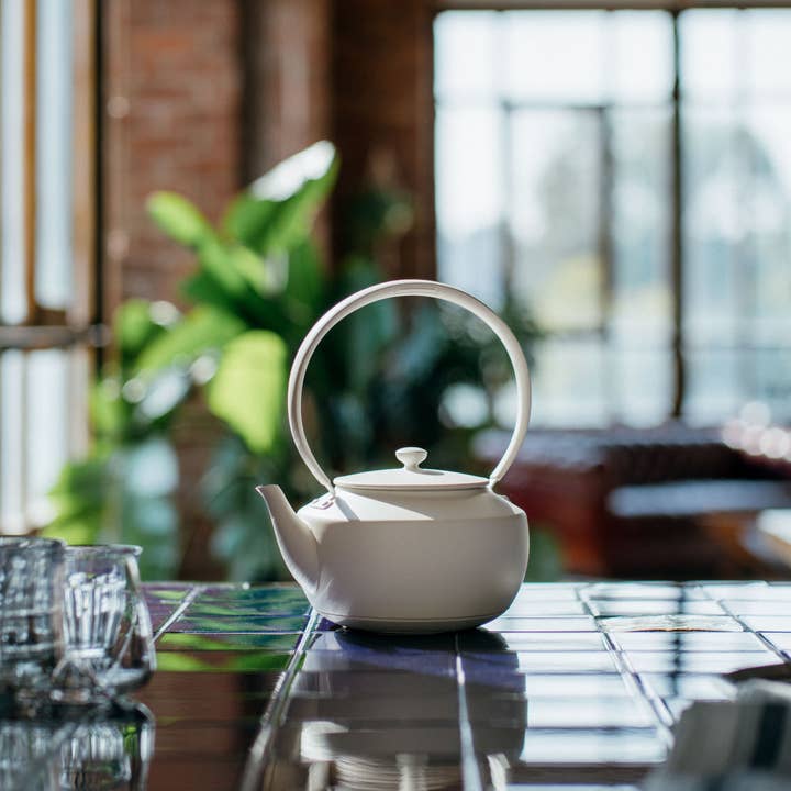 BALMUDA - Wholesale Electric Kettle - MoonKettle Electric Kettle with Temp Control 122°F - 212°F19