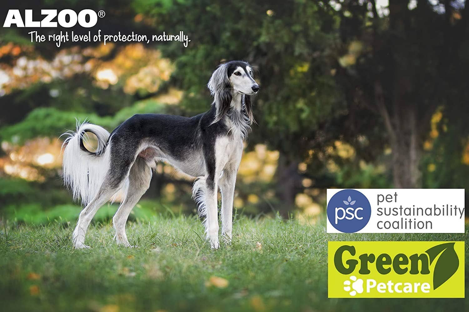 ALZOO - Wholesale Pet Spray - Dog - ALZOO Plant-Based Flea and Tick Repellent Spray, Dogs 8oz5