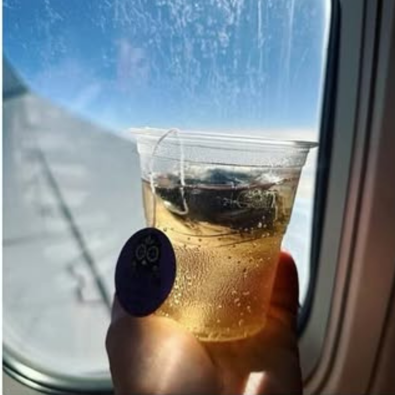 Hail M - Wholesale Cocktail Mix/Syrup - Moscow Mule Cocktail Infusion Tea Bag - To Go Travel Mixer5