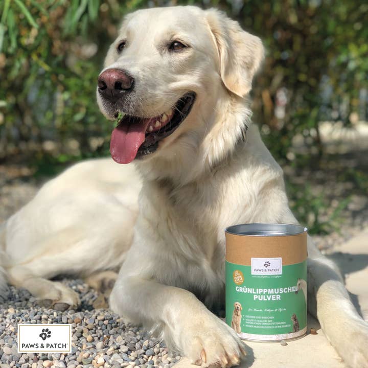 Paws & Patch GmbH - Wholesale Pet Supplement - Cat/Dog - Paws & Patch Green-Lipped Mussel Powder For Dogs, Cats And1