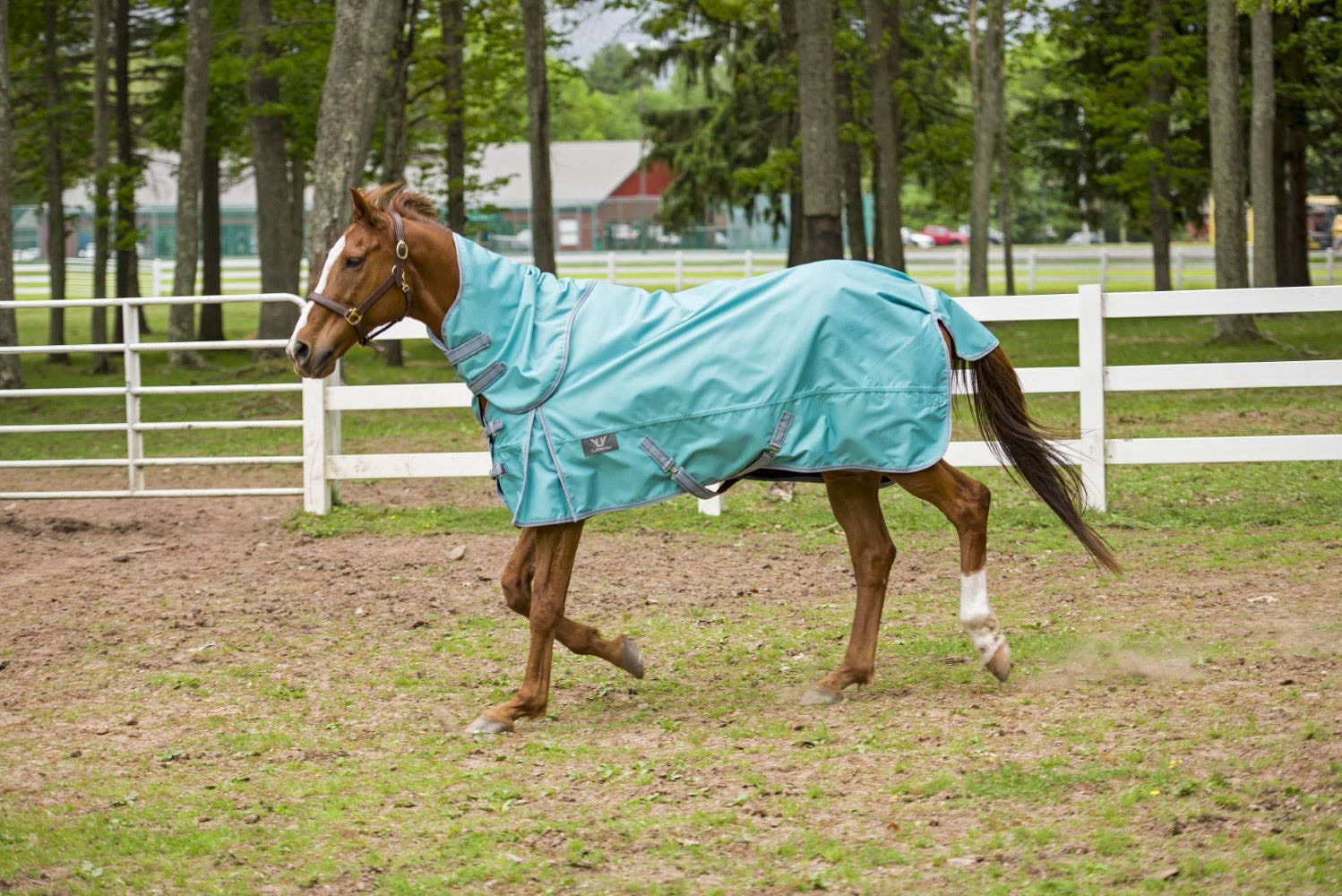 JPC Equestrian - Wholesale Horseback Riding Gear - TuffRider 1200 D Comfy Detachable Neck Ripstop Turnout Sheet3