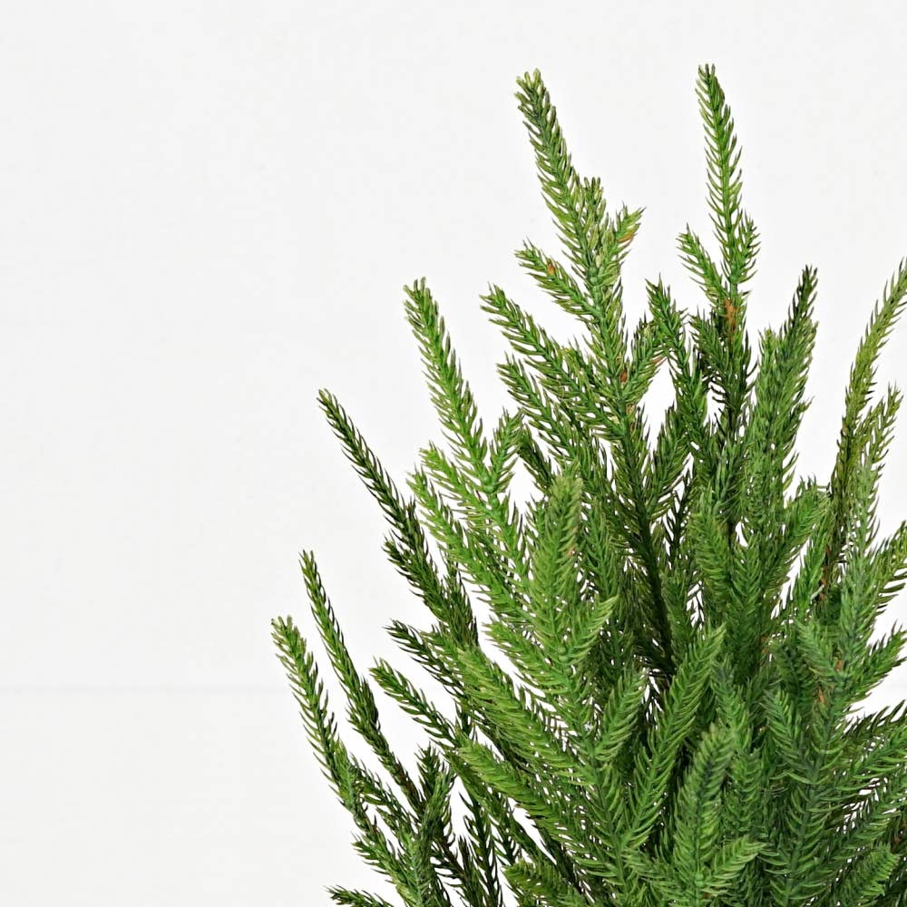 Holiday Depot Inc. - Wholesale Artificial Plant - 32302- 19inHx8inW Tree-Soft touch evergreen spruce pines in1
