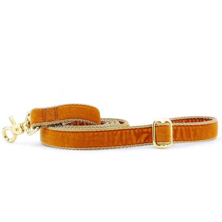 Antique Gold Swiss Velvet Essential Leash for wholesale by 2 Hounds Design
