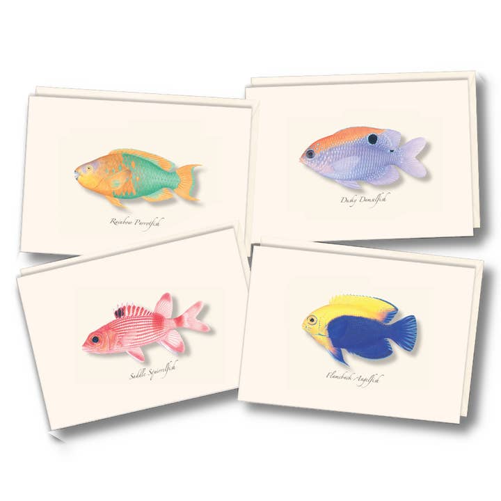 Caribe. Assortiment poissons pour la vente par Earth Sky + Water