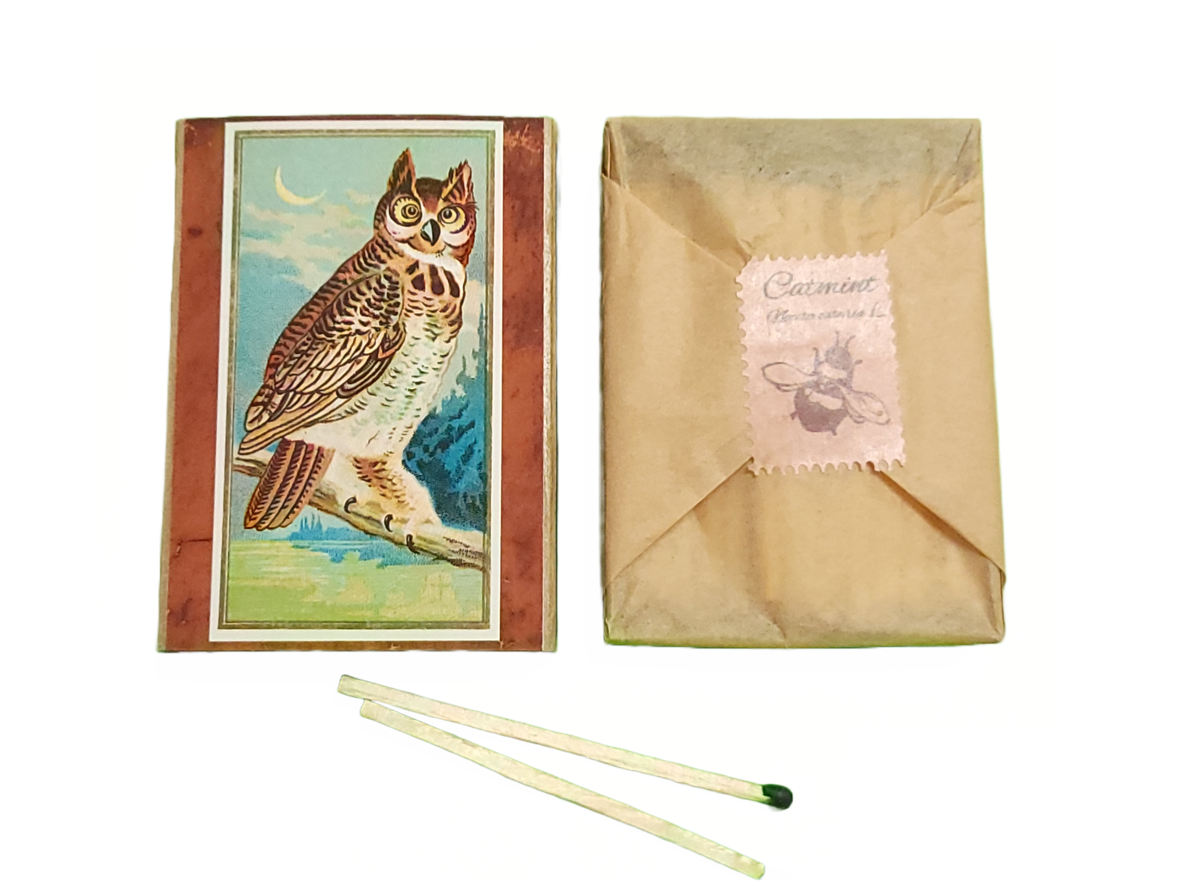 Superior Dry Goods - Wholesale Matches - "Edgar Allan Poe" Handmade Decorator Matchbox Lot9