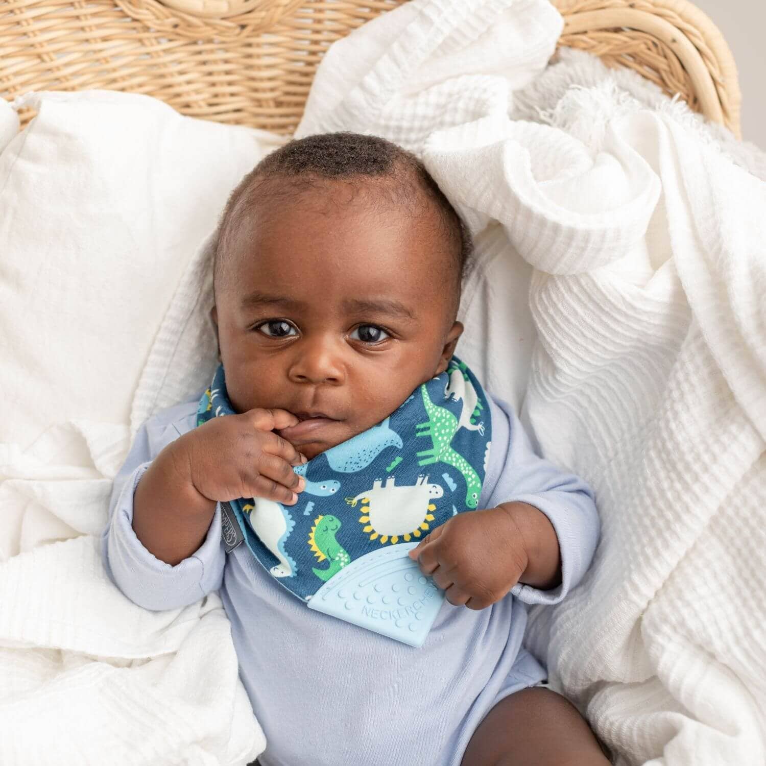 Cheeky Chompers UK – Engroshandel Hagesmæk - Baby – Neckerchew biderens savlesmekke - Baby Dino2