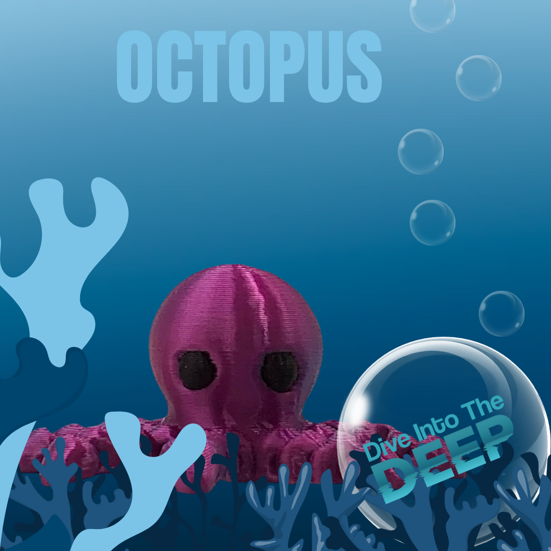 3D Studio Gifts - Vente Fidget/jouet anti-stress – enfant - Miniatures marines 3D imprimées SEA JIGGLETS (présentoir comptoir)12