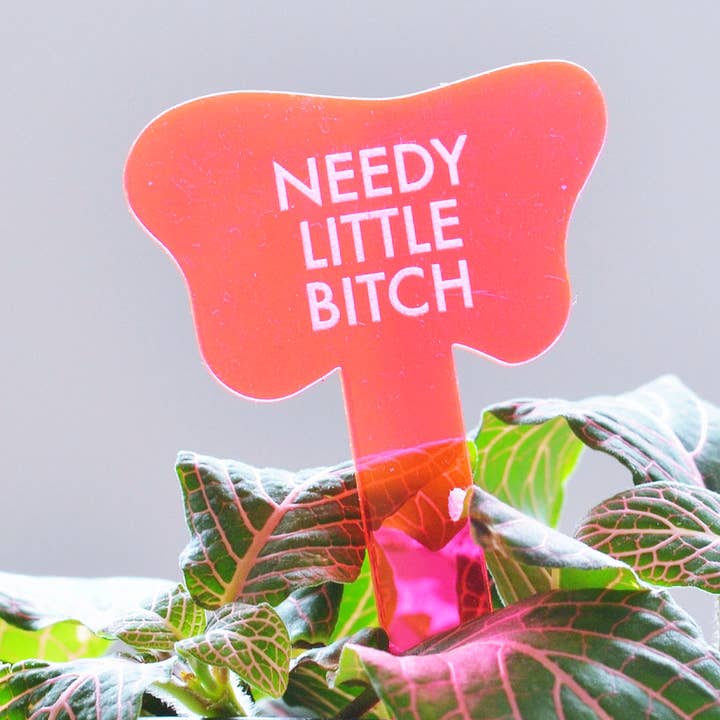 Tuff Girl Gang - Wholesale Plant Pot - NEEDY LITTLE BITCH Plant Stake0