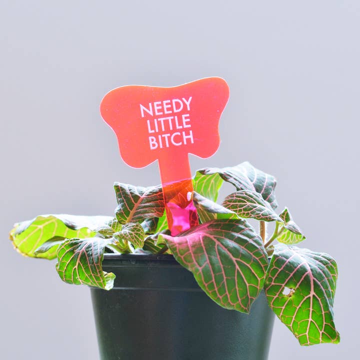 NEEDY LITTLE BITCH Plant Stake for wholesale by Tuff Girl Gang