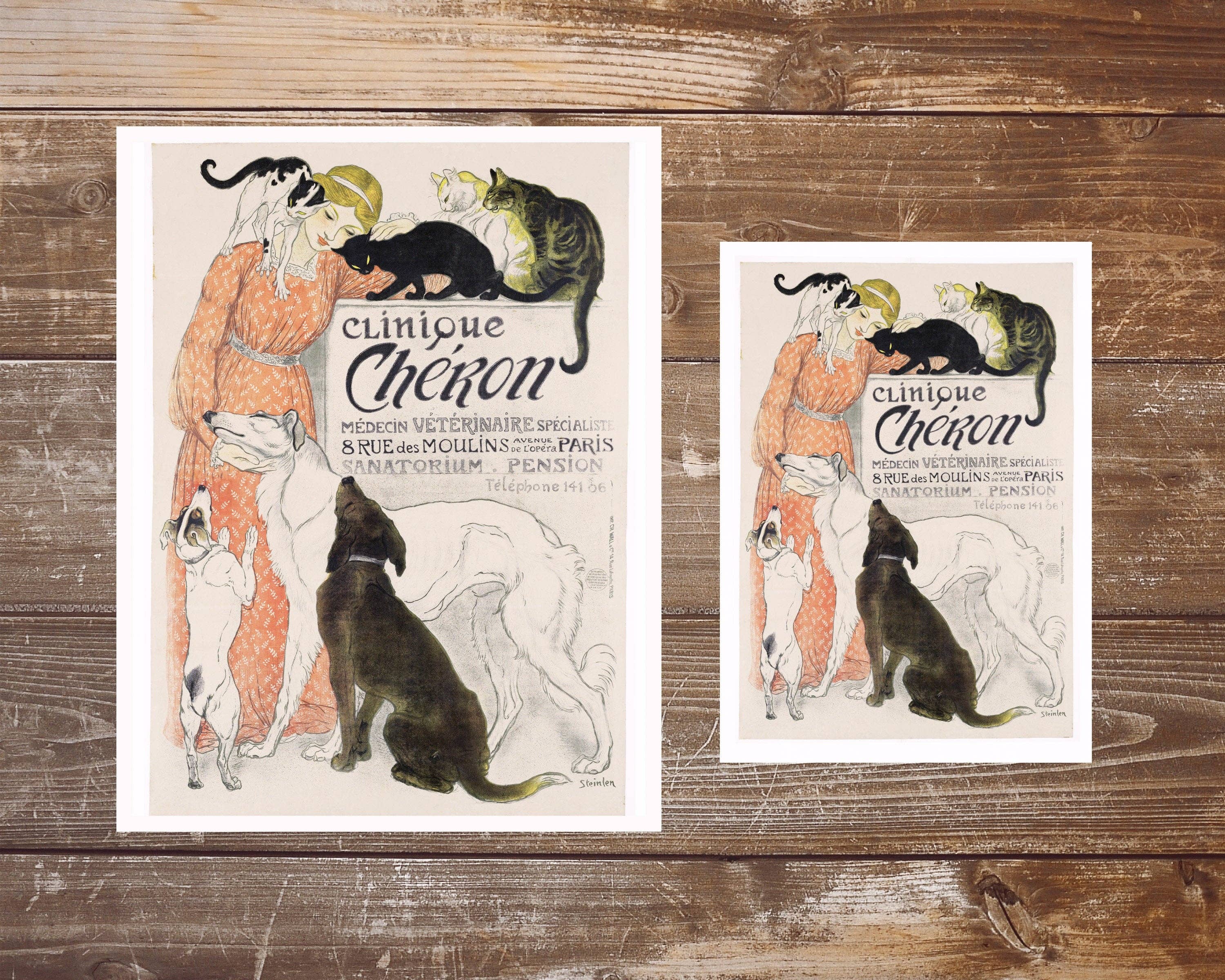 Rock Paper Scissors Wall Art - Wholesale Art Print - French vintage vet ad | Giclée fine art print | Clinique Cheron in Paris, France | Modern Vintage decor | Eco-friendly gift2