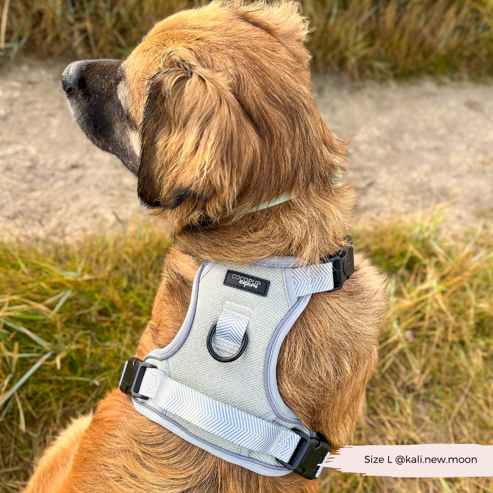 Cocopup London - Wholesale Tuig voor huisdieren - Hond - Verken Harness - Salie Tweed28