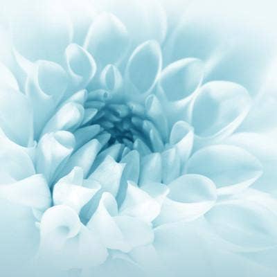 Zia Zensations Inc. - Wholesale Fragrance Oil - Resort Series Premium Fragrance Oils4