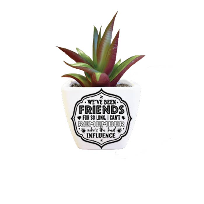 Sentiment Succulent - Amis pour la vente par The H&H Group