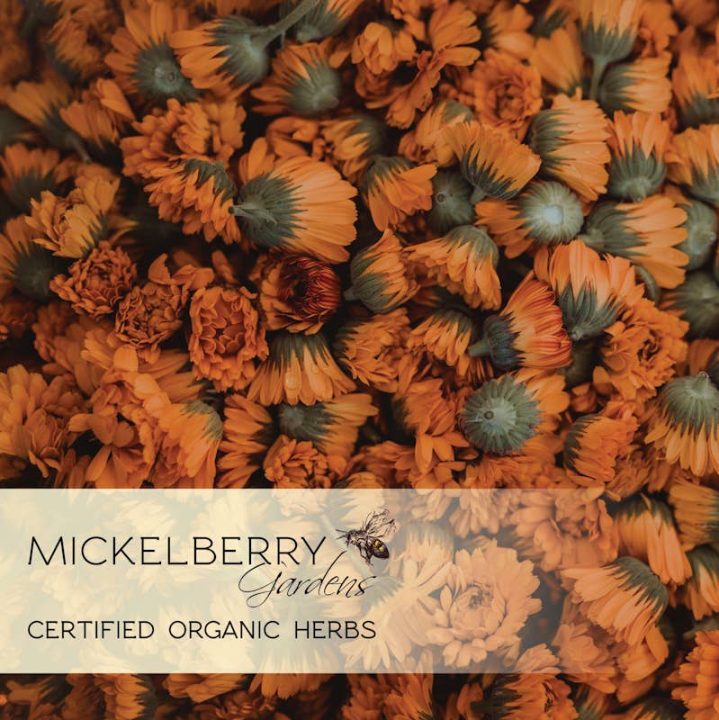 Mickelberry Gardens - Wholesale Healing Salve/Balm/Cream - Soothing Salve — fragrance free and gentle for all ages6