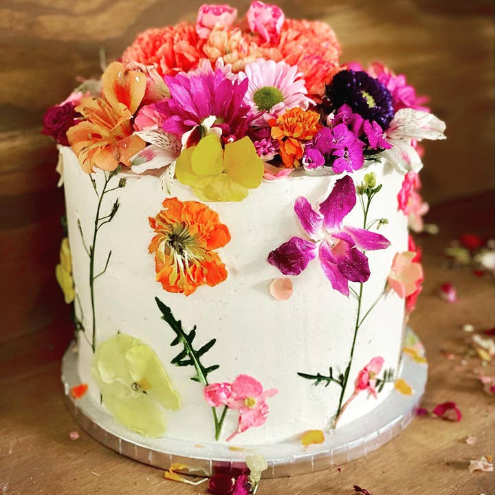 Freshly Preserved - Wholesale Dried/Pressed Flowers - Freeze-dried Edible Pansies and Orchids Pack5