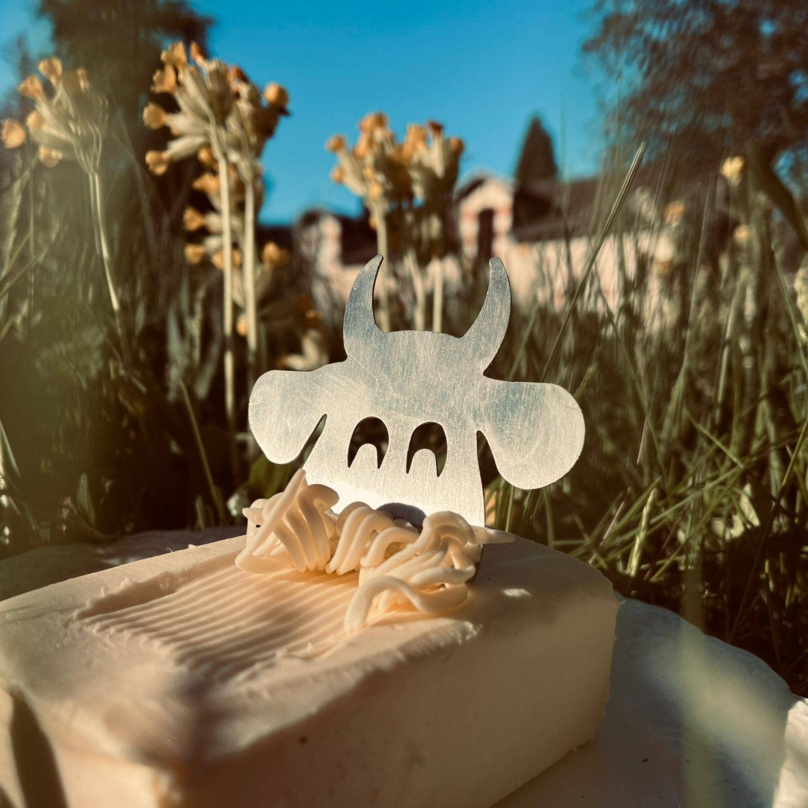 STILIC FORCE - La boutique du futur - Wholesale Butter Dish - Cowherd1