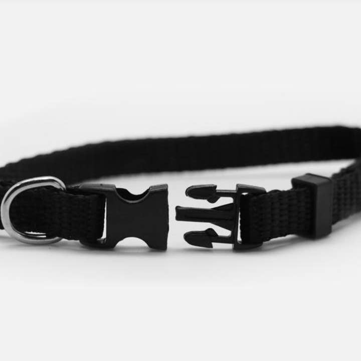 Love & Lion – Bandana - Cão por atacado – ANIMAL DE ESTIMAÇÃO PERSONALIZADO | BANDANA1