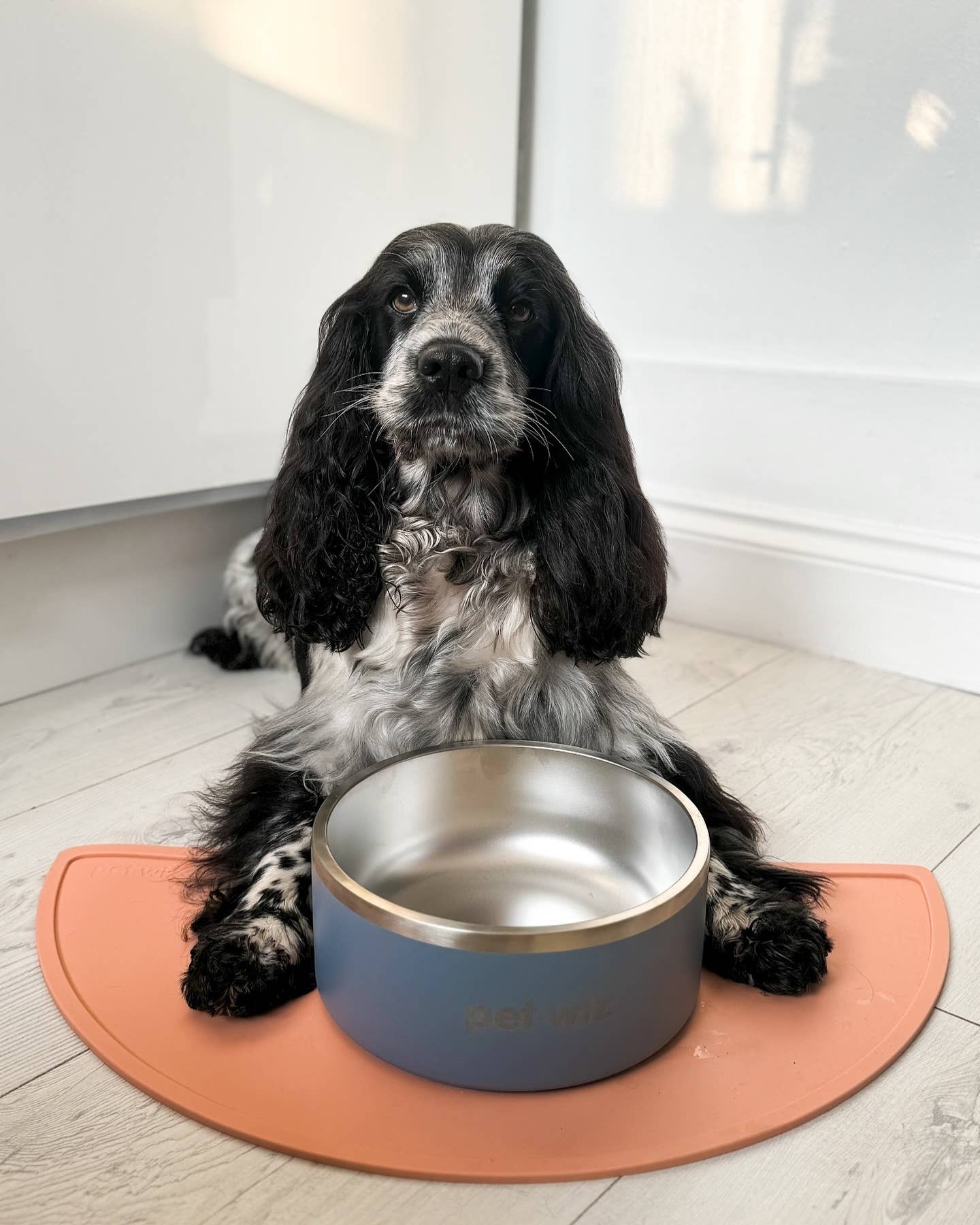 Pet Wiz – wholesale Pet food mat – Dog – Silicone Feeding Mat4