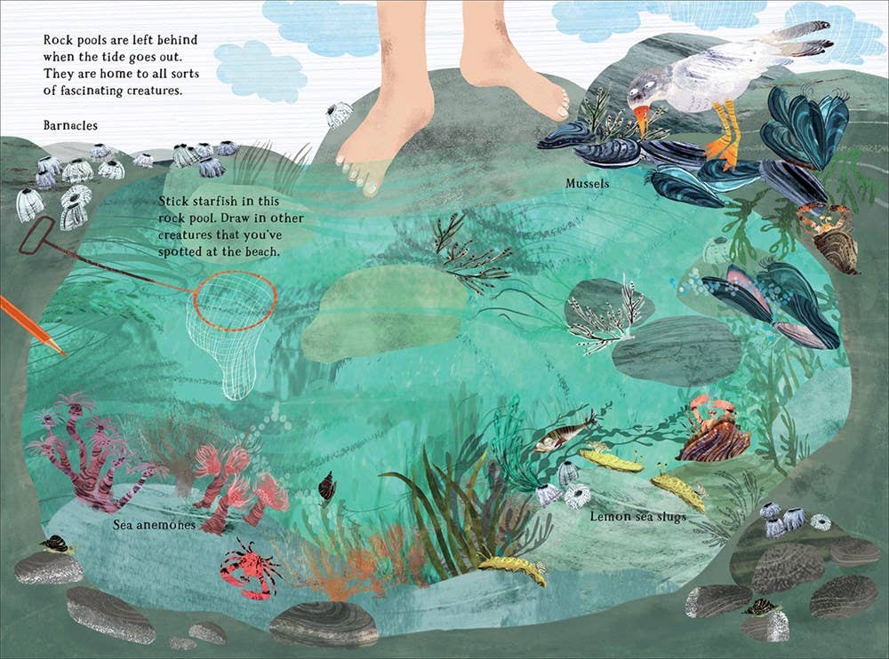 W. W. Norton - Wholesale Coloring & Activity Book - Kids & Baby - The Big Sticker Book of Blue3