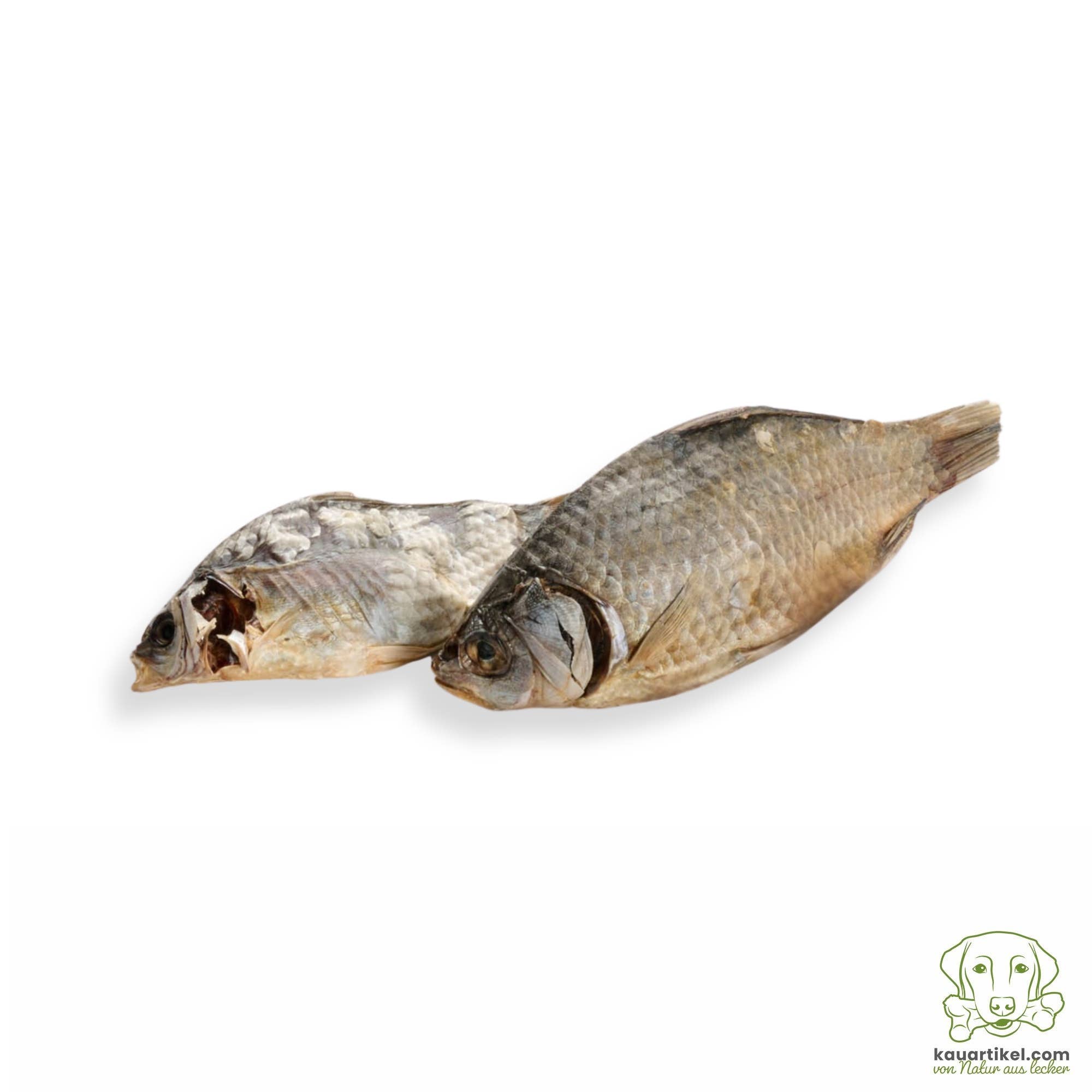 Kauartikel.com GmbH - Wholesale Pet Food - Dog - Crucian carp7