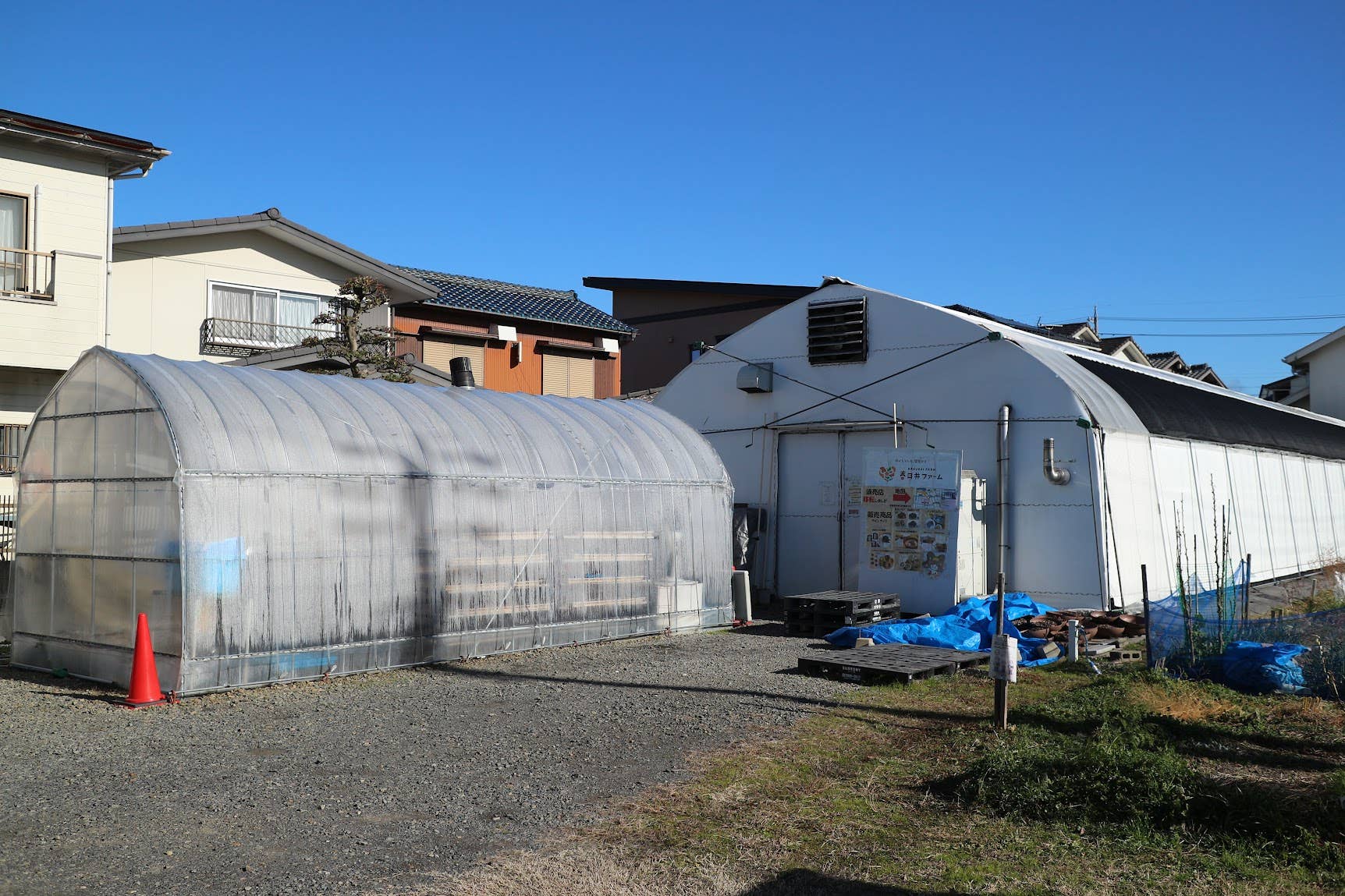 Japan Artisans - Wholesale Dried/dehydrated vegetables - Kasugai-Dried Wood Ear Mushrooms 14g – Organic - Japan3