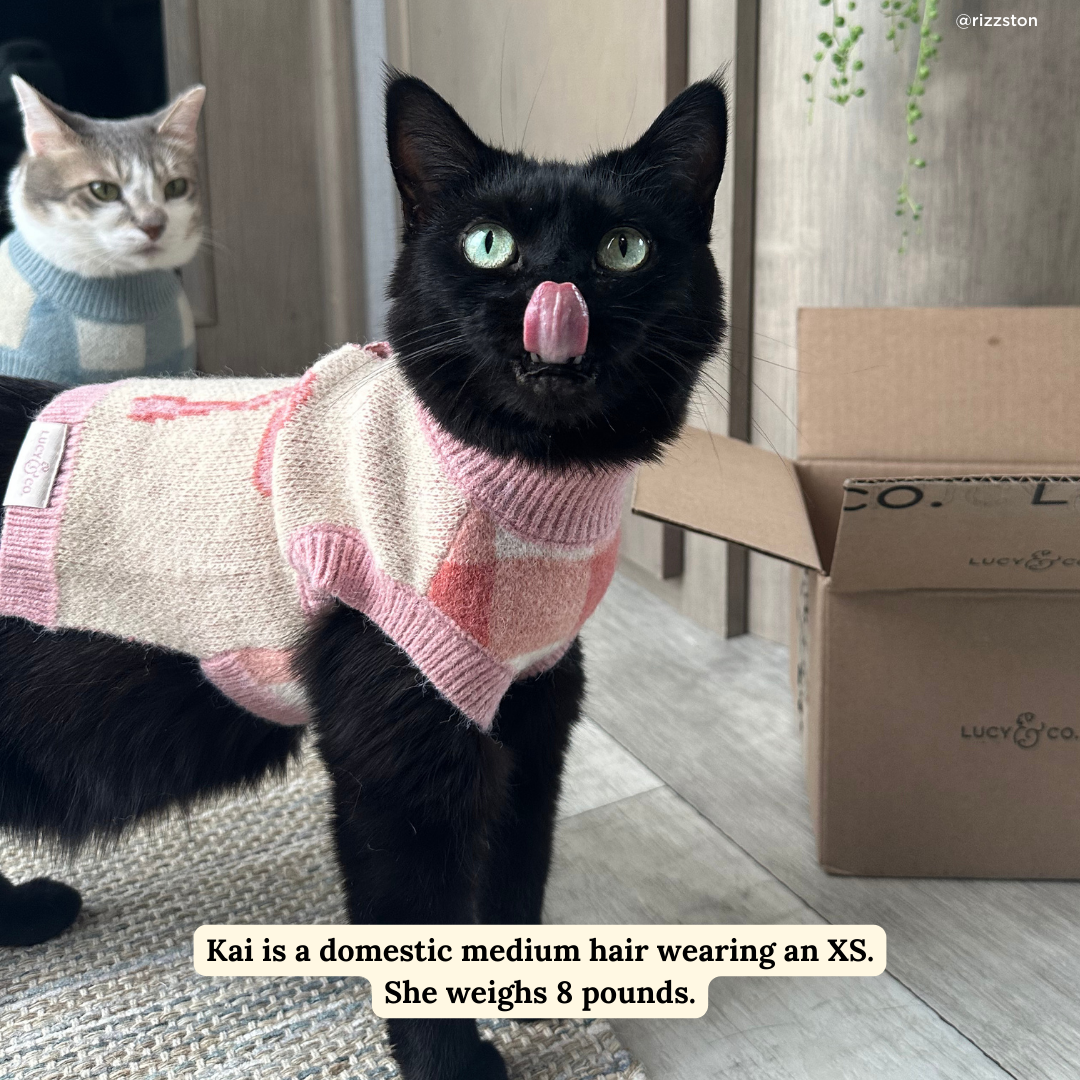 Lucy & Co. - Wholesale Pet Sweater - Dog - Take a Bow Sweater1