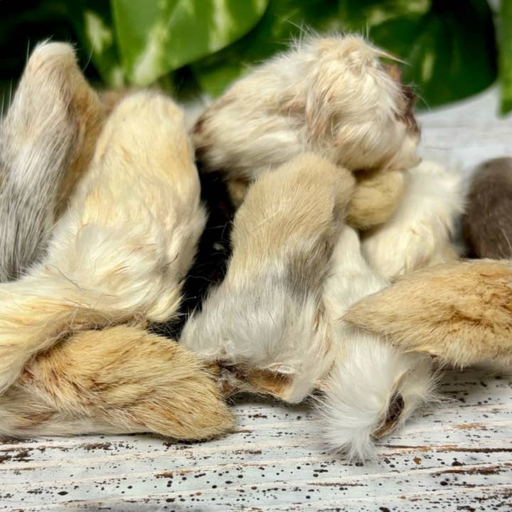 Rocky&Stella’s Treats - Vendita all'ingrosso Giocattoli per animali - Cani e gatti - Zampe di coniglio