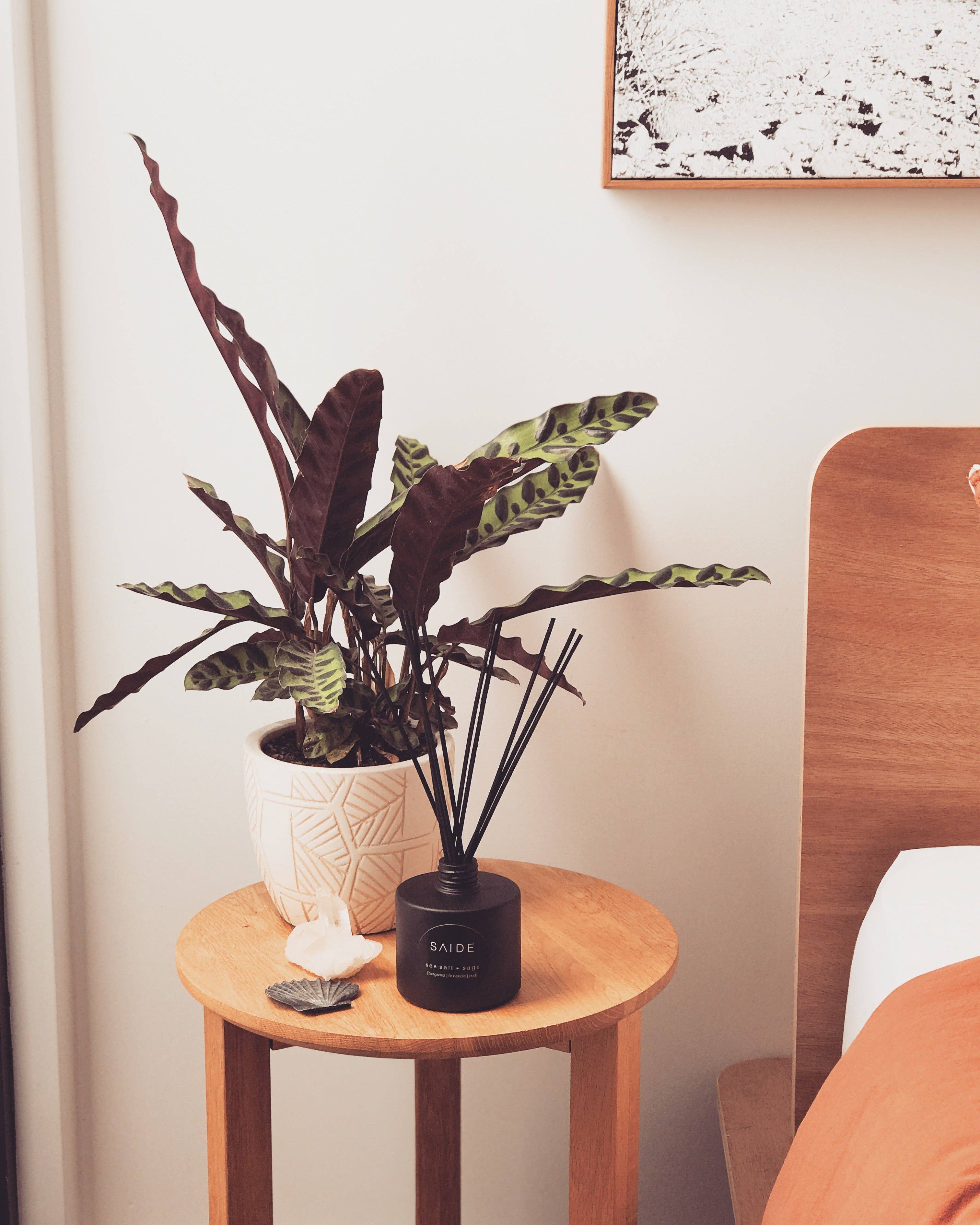 saide. - Wholesale Reed diffuser - matte black reed diffuser2