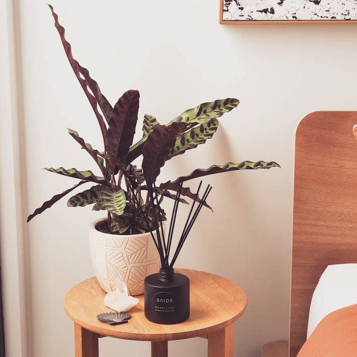 saide. - Wholesale Reed Diffuser - matte black reed diffuser2