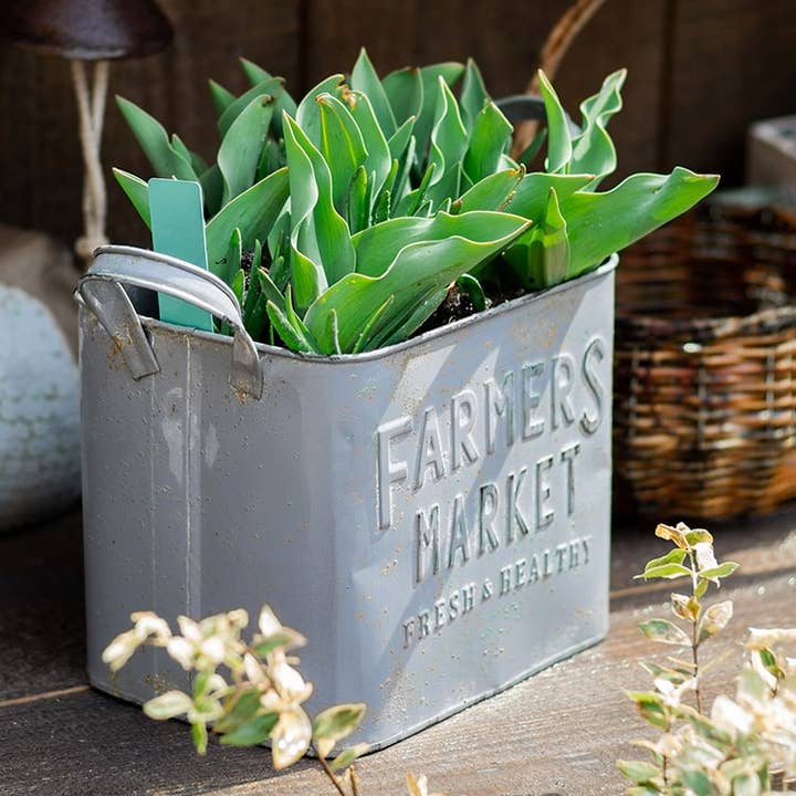 Rustic Reach - Wholesale Plant Pot - Rectangular Flower Pot Gray Farmers Market