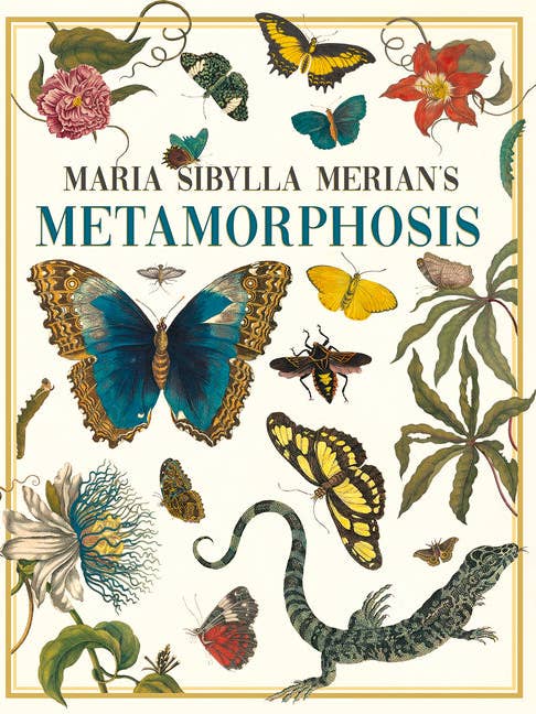 Maria Sibylla Merian's Metamorphosis: One Woman's Discovery of the Transformation of Butterflies and Insects - Hardcover for wholesale by Books by splitShops