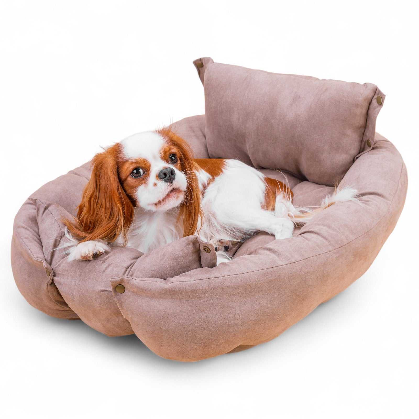 BennyBurton (Walk-Buddy Hundezubehör) - Wholesale Pet Bed - Dog - Light mat with pillow with three different lying options9