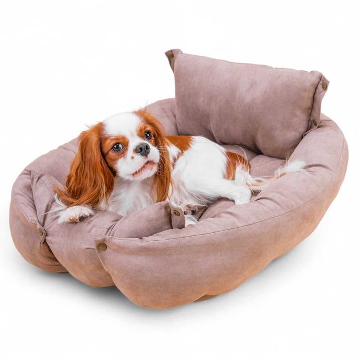 BennyBurton (Walk-Buddy Hundezubehör) – Großhandel Haustierbett – Hund – Leichte Matte mit Kissen mit drei verschiedenen Liegemöglichkeiten9